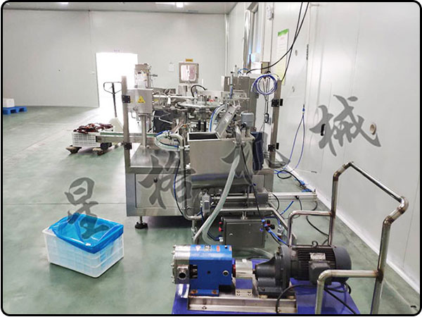 給袋式醬料包裝機械十大機械設備廠家(圖1)