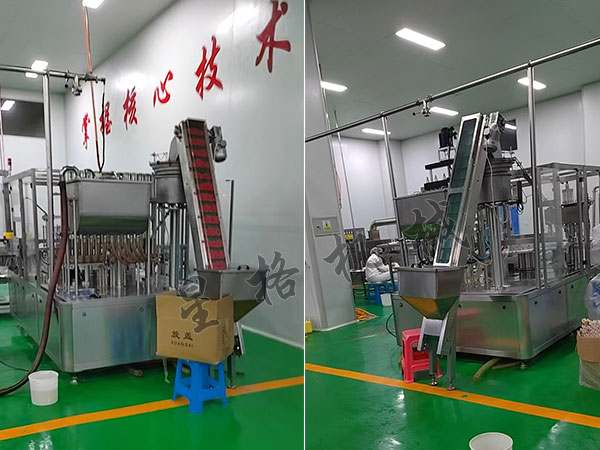 吸嘴式醬料包裝機可以包裝那種醬料(圖2)