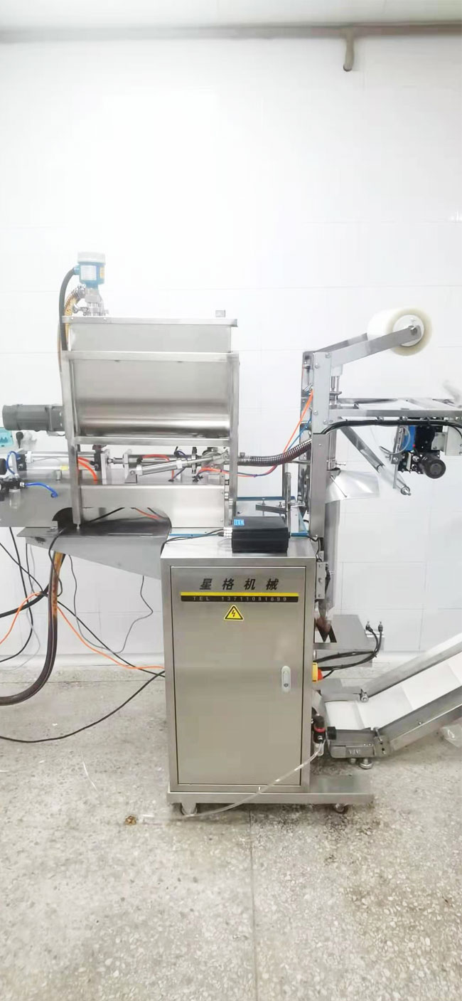 東莞大灣區食品廠(圖3)